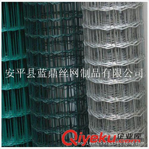 大量批發(fā)荷蘭網(wǎng) 農(nóng)場養(yǎng)殖隔離網(wǎng) 浸塑電焊網(wǎng)
