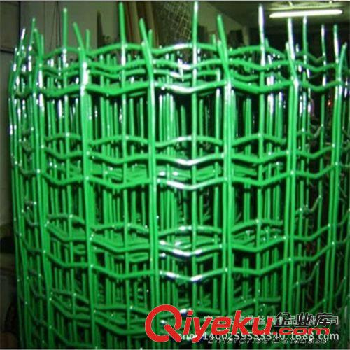 養(yǎng)殖包塑荷蘭網(wǎng) 散養(yǎng)雞鴨用圍欄防護(hù)網(wǎng)