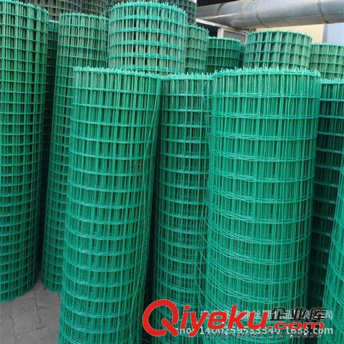 實(shí)體廠家批發(fā)熱銷荷蘭網(wǎng) 優(yōu)質(zhì)浸塑電焊網(wǎng) 山林養(yǎng)殖荷蘭網(wǎng)