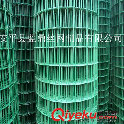 實(shí)體廠家批發(fā)熱銷荷蘭網(wǎng) 優(yōu)質(zhì)浸塑電焊網(wǎng) 山林養(yǎng)殖荷蘭網(wǎng)原始圖片2