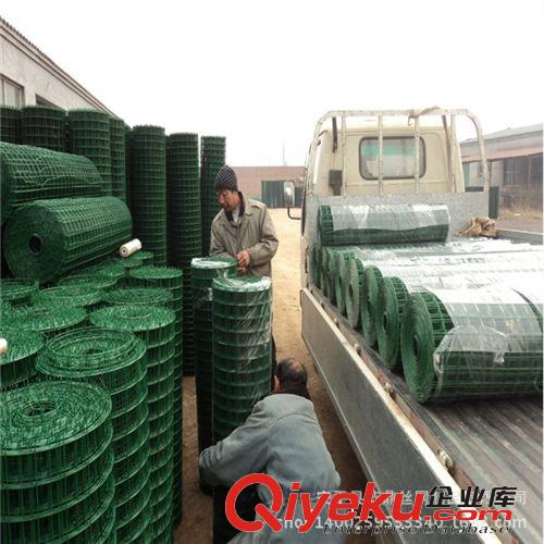 實(shí)體廠家批發(fā)熱銷荷蘭網(wǎng) 優(yōu)質(zhì)浸塑電焊網(wǎng) 山林養(yǎng)殖荷蘭網(wǎng)原始圖片3