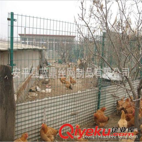 新款現(xiàn)貨熱銷養(yǎng)殖電焊網(wǎng) 涂塑焊接圍網(wǎng) 養(yǎng)殖荷蘭網(wǎng)