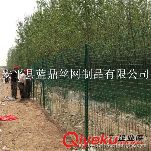 直銷PVC浸塑電焊網 山地圍網荷蘭網 綠化帶防護網原始圖片3