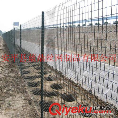 果樹防護專用優(yōu)質荷蘭網(wǎng) 品質{yl}包塑電焊網(wǎng)