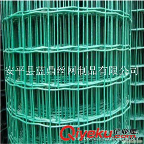 果樹防護專用優(yōu)質荷蘭網(wǎng) 品質{yl}包塑電焊網(wǎng)原始圖片2