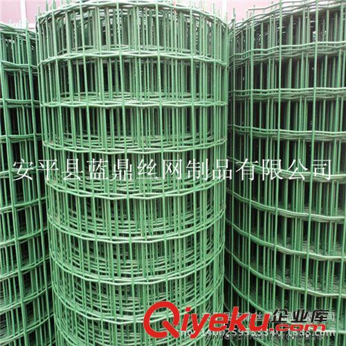 果樹防護專用優(yōu)質荷蘭網(wǎng) 品質{yl}包塑電焊網(wǎng)原始圖片3