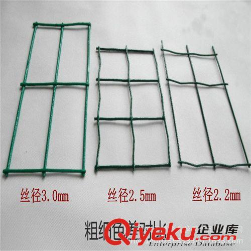 電焊網(wǎng)廠家低價(jià)銷售綠色浸塑電焊網(wǎng) 養(yǎng)殖電焊網(wǎng)原始圖片2