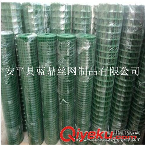 養(yǎng)殖場防護(hù)荷蘭網(wǎng) PVC包塑電焊網(wǎng) 園林圍網(wǎng)鐵絲網(wǎng)