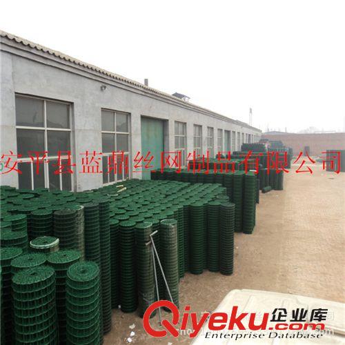 養(yǎng)殖場防護(hù)荷蘭網(wǎng) PVC包塑電焊網(wǎng) 園林圍網(wǎng)鐵絲網(wǎng)原始圖片2
