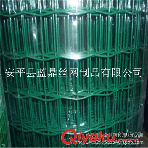 養(yǎng)殖場防護(hù)荷蘭網(wǎng) PVC包塑電焊網(wǎng) 園林圍網(wǎng)鐵絲網(wǎng)