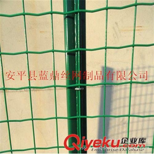 不怕風(fēng)吹雨淋荷蘭網(wǎng) 養(yǎng)殖浸塑電焊網(wǎng) 涂塑焊接網(wǎng)