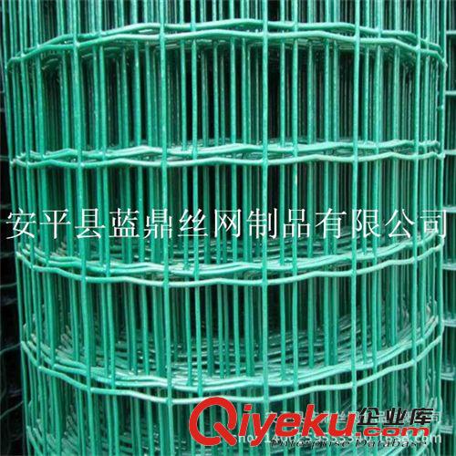圈玉米棒子用綠色電焊網(wǎng) 優(yōu)質(zhì)浸塑荷蘭網(wǎng)原始圖片2