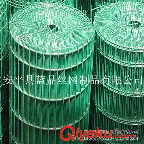 圈玉米棒子用綠色電焊網(wǎng) 優(yōu)質(zhì)浸塑荷蘭網(wǎng)原始圖片3