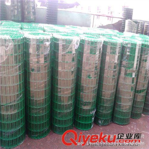 低價促銷圈玉米用荷蘭網 農業圈地鐵絲網原始圖片3