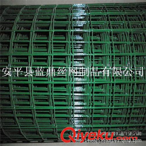 低價促銷圈玉米用荷蘭網 農業圈地鐵絲網