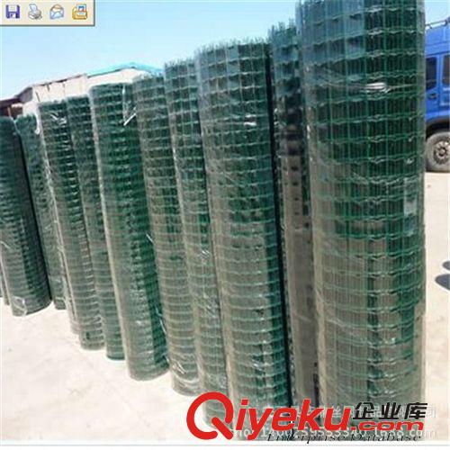 廠家直銷圈玉米專用荷蘭網(wǎng) 綠色浸塑鐵絲網(wǎng) 優(yōu)質(zhì)荷蘭網(wǎng)原始圖片2