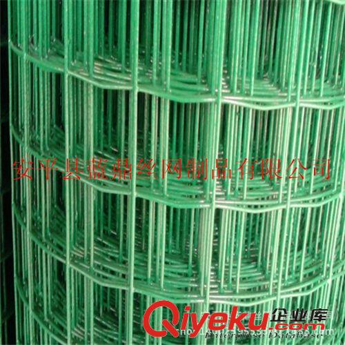 荷蘭網養殖荷蘭網 PVC涂塑電焊網 浸塑優質鐵絲網原始圖片2