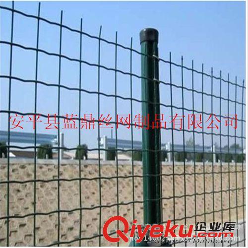 家禽養殖隔離涂塑電焊網 PVC涂塑荷蘭網 鐵絲電焊網原始圖片3