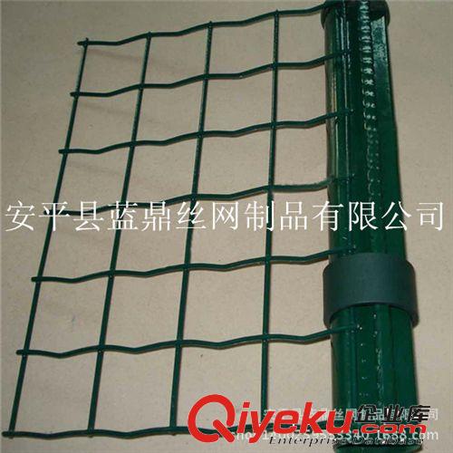 廠家直銷牧區(qū)荷蘭網(wǎng) 浸塑電焊網(wǎng) 優(yōu)質(zhì)綠色鐵絲網(wǎng)原始圖片3
