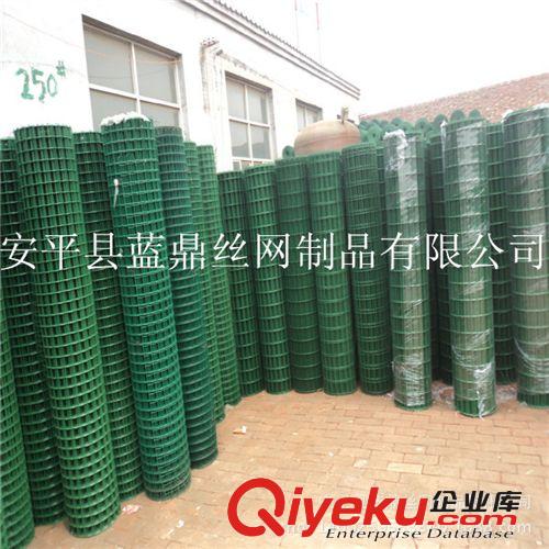 廠家長期供應(yīng)養(yǎng)殖荷蘭網(wǎng) 園林圍欄鐵絲網(wǎng) 電焊網(wǎng)原始圖片2