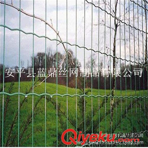 廠家長期供應(yīng)養(yǎng)殖荷蘭網(wǎng) 園林圍欄鐵絲網(wǎng) 電焊網(wǎng)原始圖片3