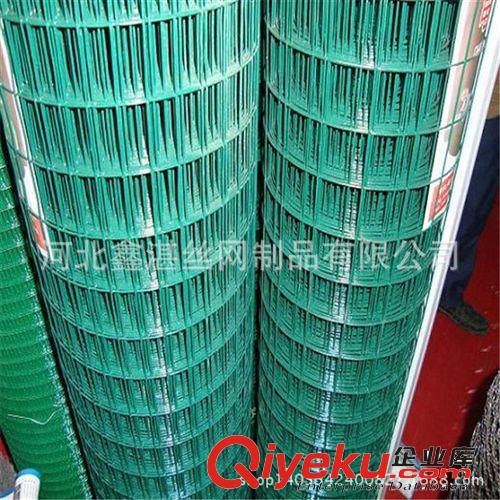供應防護鐵絲網(wǎng)-雙邊絲護欄網(wǎng)，體育圍欄，荷蘭網(wǎng)，花園柵欄原始圖片3
