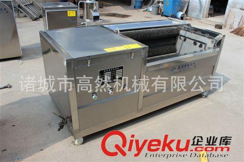 廠家直銷生姜鋼絲毛刷清洗去皮機 生姜清洗去皮機高然牌 價低物廉原始圖片3