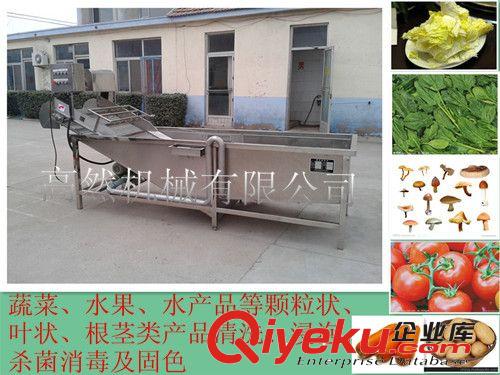 供應蔬菜氣泡清洗機 瓜果菜蔬氣泡清洗機 根莖氣泡清洗機