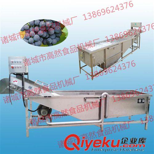 供應高然食品機械廠蔬菜氣泡清洗機 紅薯清洗機原始圖片2