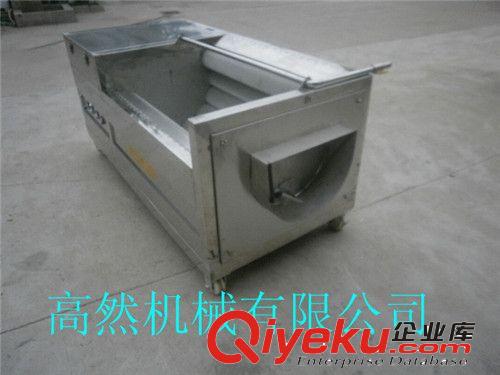 土豆清洗機 蘿卜清洗去皮機 毛刷清洗去皮機原始圖片3