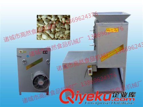 供應(yīng)大蒜破瓣機(jī)--山東省高然機(jī)械大蒜分瓣機(jī)(圖)