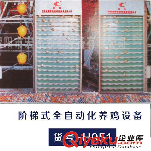 宏偉養(yǎng)殖供應(yīng)層疊式全自動化養(yǎng)雞設(shè)備 自動撿蛋系統(tǒng)