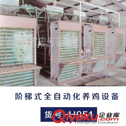 宏偉養(yǎng)殖 供應(yīng)階梯式全自動化養(yǎng)雞設(shè)備  {gx}先進(jìn) 質(zhì)量保證