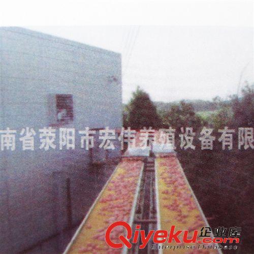供應(yīng)階梯式全自動(dòng)化養(yǎng)雞設(shè)備 蛋雞飼養(yǎng)全自動(dòng) {gx}先進(jìn)宏昌牌