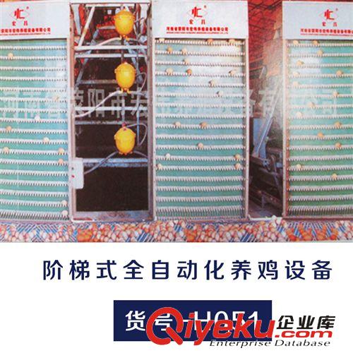 供應(yīng)階梯式全自動化養(yǎng)雞設(shè)備 蛋雞飼養(yǎng)全自動 {gx}先進宏昌牌