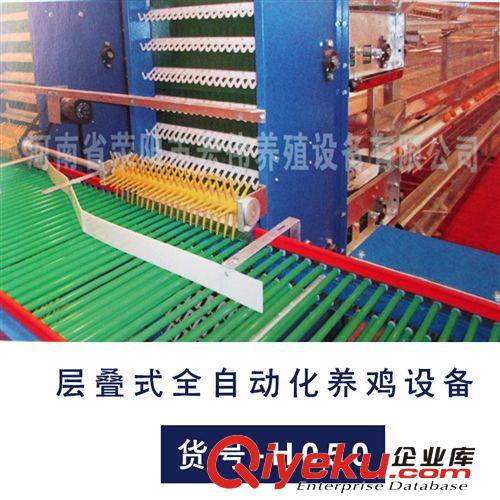 供應養雞設備 層疊式全自動化養殖 自動撿蛋 質量保證原始圖片3