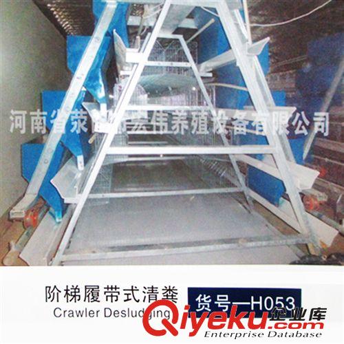 供應階梯履帶式清糞設備 養殖場專用 A級品質原始圖片2