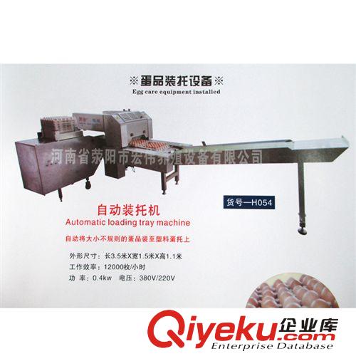 宏偉養殖 供應養雞設備 蛋品裝托設備 自動裝托機 A級品質原始圖片2