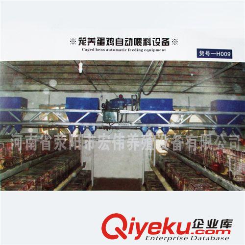 供應籠養蛋雞自動喂料設備 養雞場專用 省時省力省料{gx}