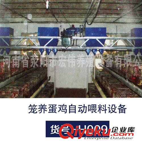 供應各種專用養殖設備 籠養蛋雞自動喂料設備 質量保證