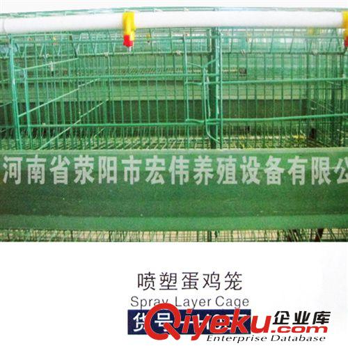 供應(yīng)養(yǎng)雞場專用種雞籠 四層育雛籠 操作方便