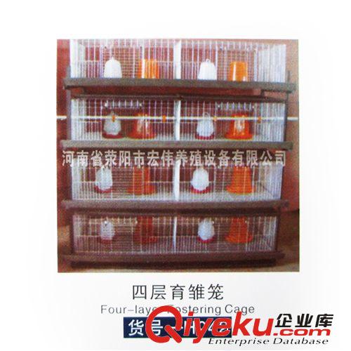 供應(yīng)養(yǎng)雞場專用種雞籠 熱鍍鋅雞籠 結(jié)實(shí)耐用 操作方便