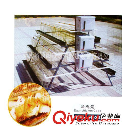 供應(yīng)養(yǎng)雞場專用M型釘 批發(fā)養(yǎng)殖設(shè)備 A級(jí)品質(zhì)