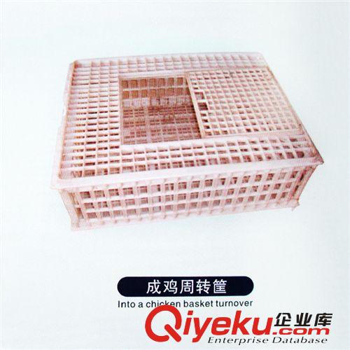 供應(yīng)養(yǎng)殖設(shè)備 養(yǎng)雞場(chǎng)專(zhuān)用加藥器 批發(fā)養(yǎng)殖設(shè)備 質(zhì)量保證