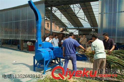 家用小型飼料粉碎機(jī) 小型鍘草機(jī) 飼料粉碎機(jī)價(jià)格 鍘草機(jī)原始圖片2