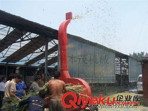 新型秸稈青貯鍘草機 小型大型秸稈鍘草機 鍘草粉碎機價格原始圖片2