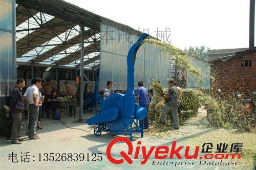 新型秸稈青貯鍘草機 小型大型秸稈鍘草機 鍘草粉碎機價格