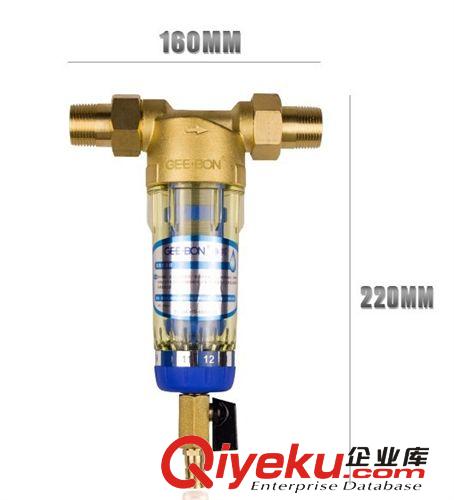 過濾器  反沖洗水過濾器