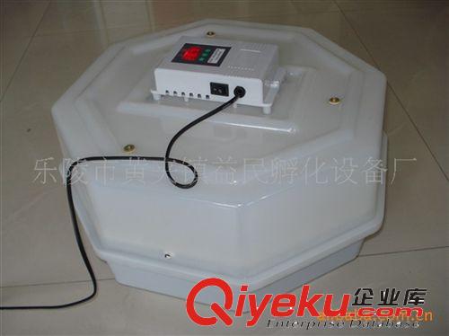 益民60枚家用孵化機改進型（數字顯示）原始圖片3