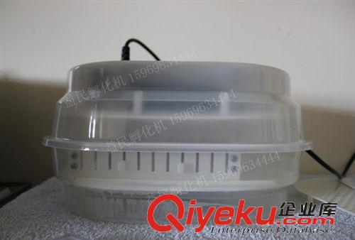 12枚自動孵化機/教學專用孵化器/實驗室專用孵化箱原始圖片2